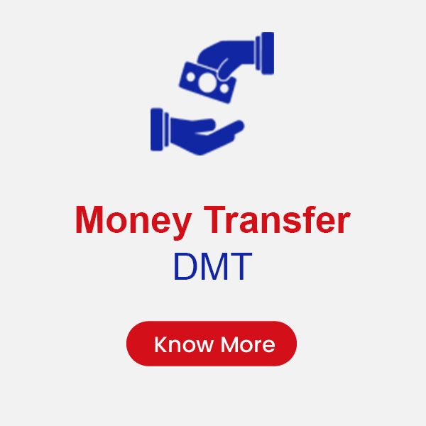 Money Transfer (DMT)